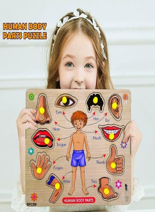 RPC99 Wooden Body Parts Learning Puzzle Board Game with Knobs, Educational Activity Chart for Kids - Image 3